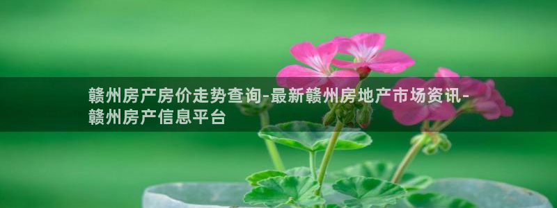 九游会官网真人游戏第一品牌